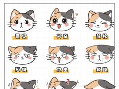 -FAELING PETS美天灵宠物(合生汇店)