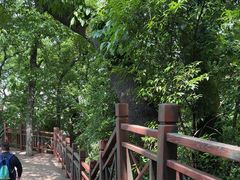 -紫金山山顶公园