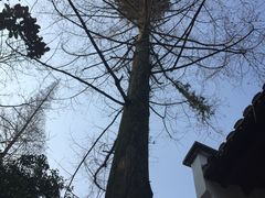 -白鹿洞书院