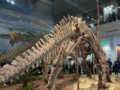 -自贡恐龙博物馆
