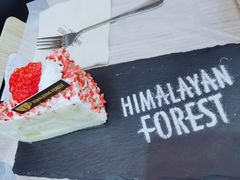 草莓蛋糕-喜马拉雅森HIMALAYAN FOREST