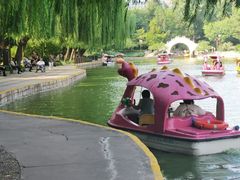 -团结湖公园
