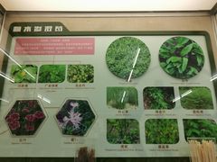 -北京中医药大学-中医药博物馆