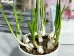 -禾珍珠家常小馆(河南博物院店)