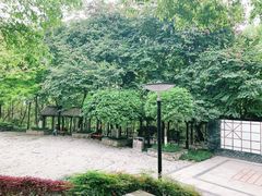 -重庆彩云湖湿地公园