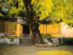 -无锡惠山寺