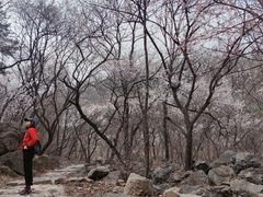 -阳台山自然风景区