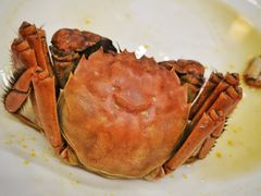 -百丈园龙江啫神馆