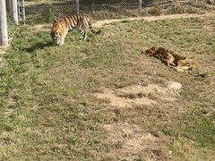 -西霞口神雕山野生动物世界