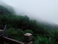 -韬光茶庵