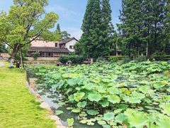 景点-乌村