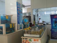 -大眼锅贴水饺(河东店)