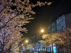 -永乐路-路侧停车场
