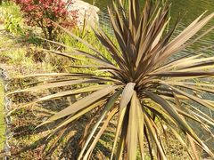 -西北湖绿化广场