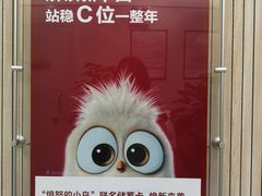 -招商银行(北京常营支行)