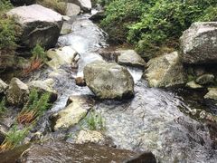 -苍山感通索道