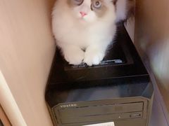 -芭比堂动物医院·犬猫全科·异宠专科(雁塔分院)