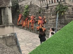 -重庆十八梯传统风貌区