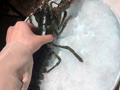 -生如夏花泰式火锅(鹭洲里店)