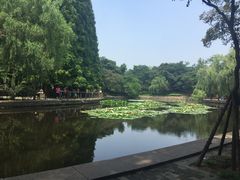 -八大关景区