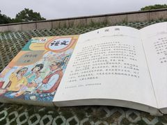 -观潮胜地公园