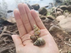 -西昌邛海湿地