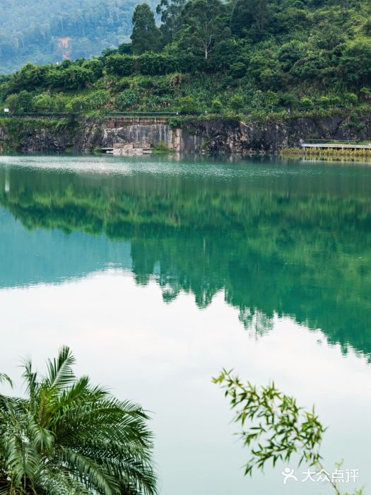 水濂山森林公园图片