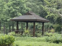 -素山寺森林公园