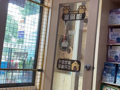-千城康桥宠物医院·猫科·骨科·心脏