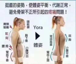 -香薇妮丝·定制减肥·身材管理