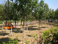 -天津武清北运河郊野公园房车露营地