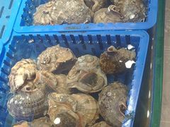 -倍儿美海鲜大排挡·非遗海鲜蒸饺(洋货店)