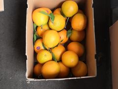 -上海龙吴水胜海发市场