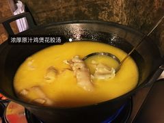 -鲜入围煮花胶鸡海鲜火锅
