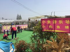 -小鱼草莓采摘园农家乐·小鱼餐厅