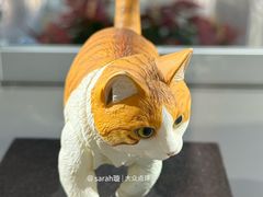 -石家庄正定国际机场-T2航站楼