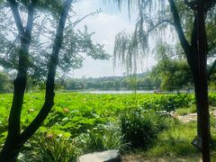 -承德避暑山庄景区