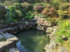 -杭州雅谷泉山庄酒店-餐厅