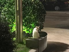 -上海外滩茂悦大酒店