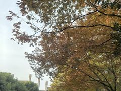 -南京市江宁方山