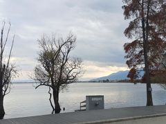 -大理洱海