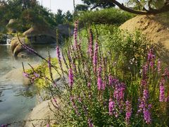 -罗红摄影艺术馆