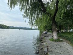 -西湖外事游船(花港观鱼码头)