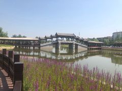 -西海子公园