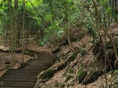 -凤栖山