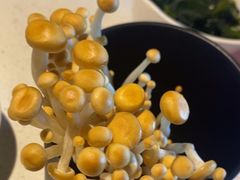 -海底捞火锅(长沙华创国际广场店)