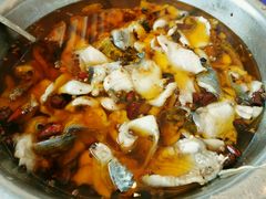 -鑫巴蜀小镇 · 水煮鱼专研店(玉桥店)