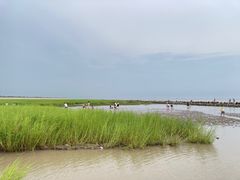 -南汇新城海滩