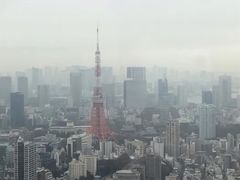 -六本木新城展望台(东京城市景观)