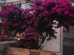 -大理无舍度假酒店